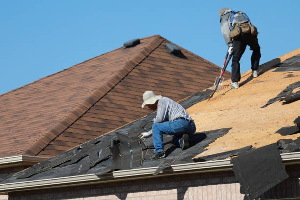 Best Metal Roofing Installation  in Louisiana, MO