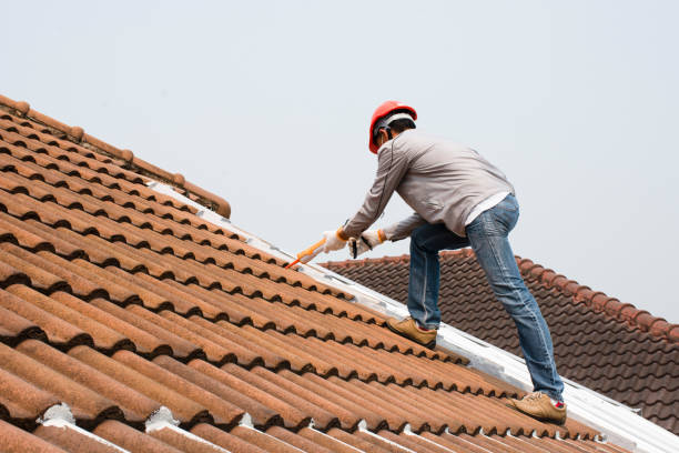 Best Rubber Roofing (EPDM, TPO)  in Louisiana, MO