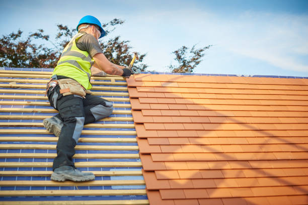 Best Green or Eco-Friendly Roofing Solutions  in Louisiana, MO